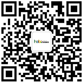 扫描++/加微信； 海博网络,谷歌SEO优化,谷歌排名,谷歌ADS广告推广